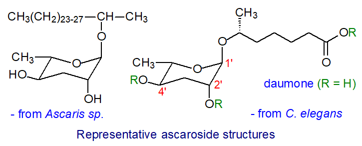 Formulae of representative ascarosides