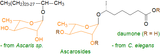 Formulae of representative ascarosides