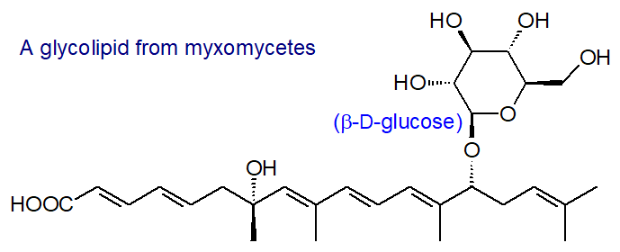 A glycolipid from myxomycetes