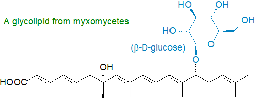 A glycolipid from myxomycetes