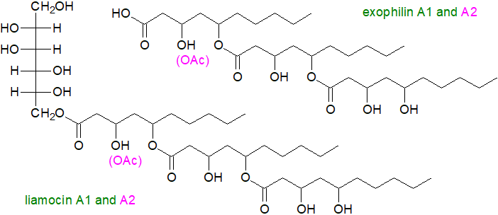 Liamocins and exophilins