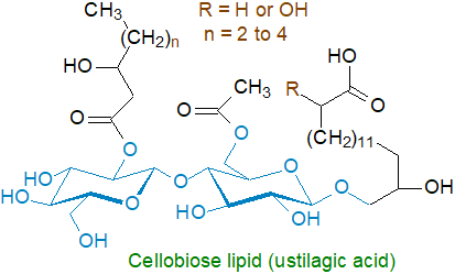 Formula of ustilagic acid