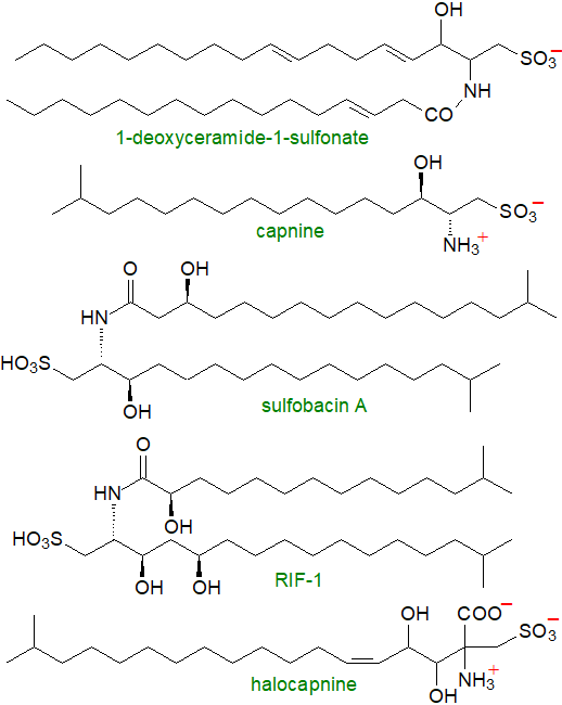 Formula of mytilipin B