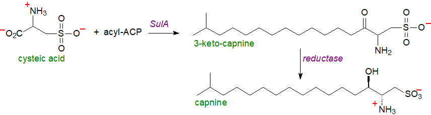 Formula of N-acyltaurines