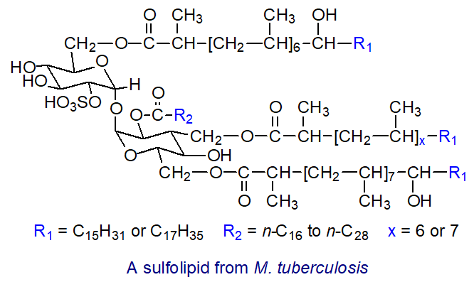 Sulfolipid from Mycobacterium tuberculosis