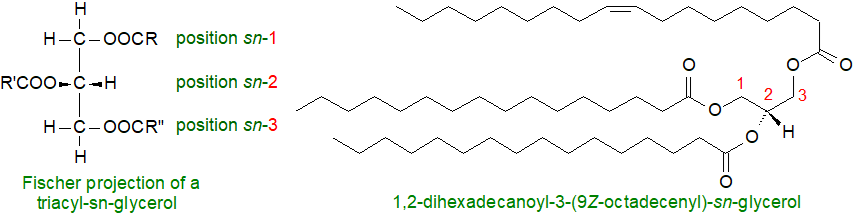 Formulae of triacyl-sn-glycerols