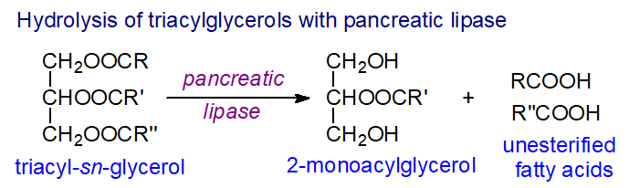 Regiospecific analysis of triacylglycerols with pancreatic lipase