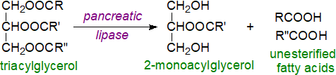 Regiospecific analysis of triacylglycerols with pancreatic lipase