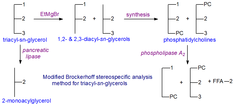 Modified Brockerhoff procedure for stereospecific analysis