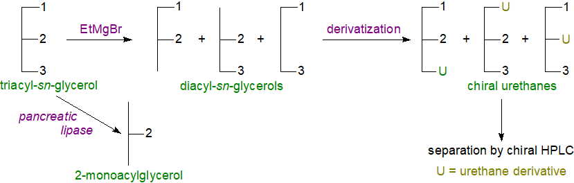 Determination of position sn-3 in stereospecific analysis procedure