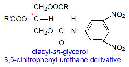 Diacylglycerols - 3,5-dinitrophenyl urethane derivatives