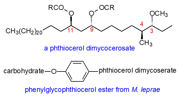 Formulae of a phthiocerol ester and phenylglycolipid from M. leprae