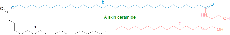 S3: Structure of a skin ceramide Formula of a skin ceramide