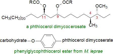 S5: Formulae of a phthiocerol ester and phenylglycolipid from M. leprae Formulae of a phthiocerol ester and phenylglycolipid from M. leprae