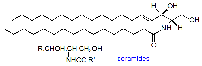 Structural formula of a ceramide
