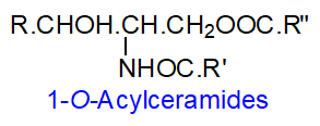 Formula of 1-O-acylceramides
