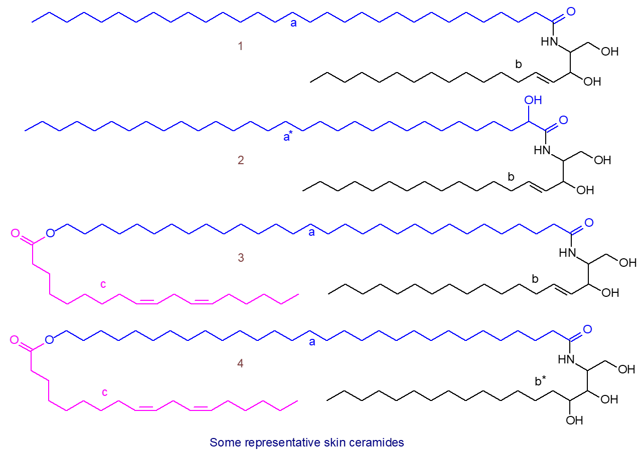 Structural formulae of skin ceramides