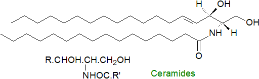 S1: Structural formula of a ceramide Structural formula of a ceramide
