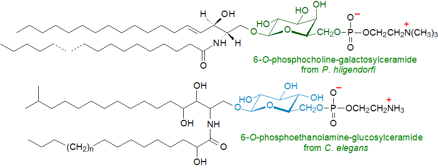 Formula of alpha-glucuronosylceramide