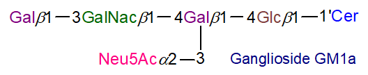 Structural formula of ganglioside GM1 - short form)
