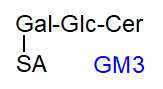 Structure of ganglioside GM3
