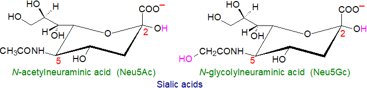 Formulae for sialic acids