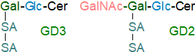 Structures of gangliosides GD2 and GD3