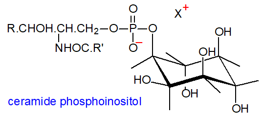 Structural formula of ceramide phosphoinositol