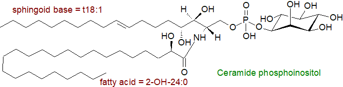 Structural formula of ceramide phosphoinositol
