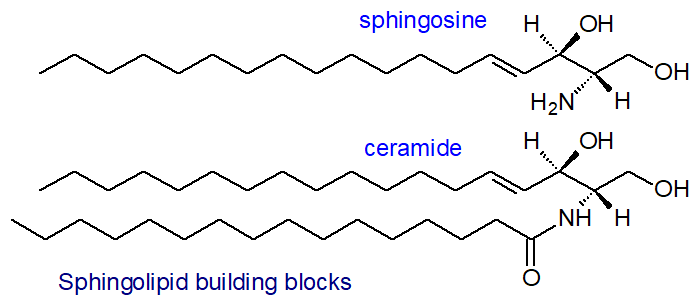 Sphingolipid building blocks