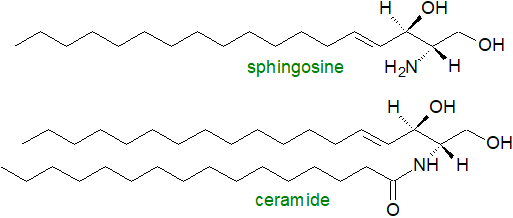 Sphingolipid building blocks