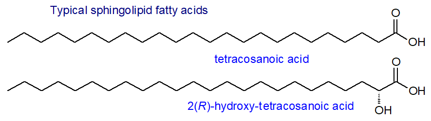 Fatty acids of sphingolipids