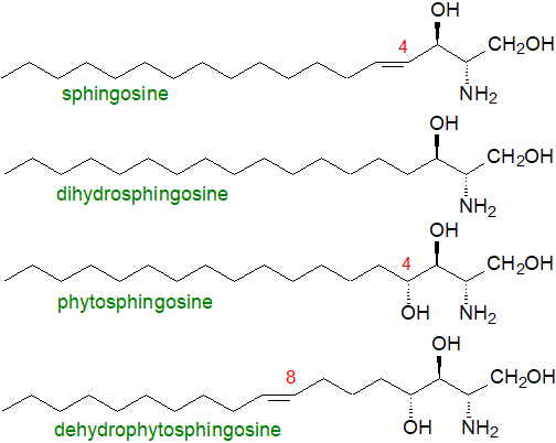 Structures of sphingoid bases