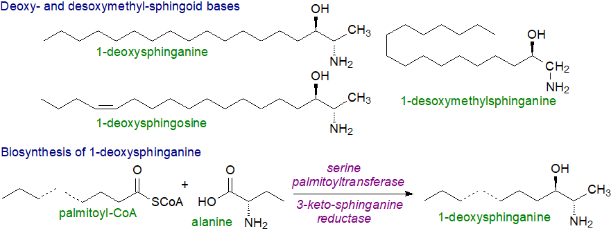 Free sphingosine production from ceramide