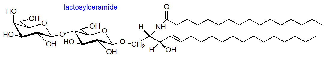 Structural formula of lactosylceramide