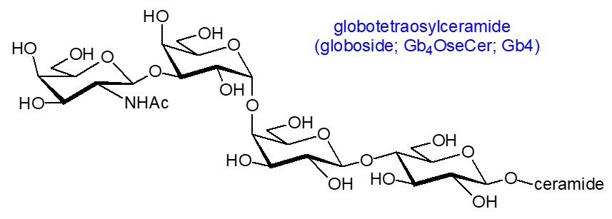 Formula of a globotetraosylceramide