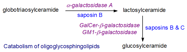 Catabolism of oligoglycolipids