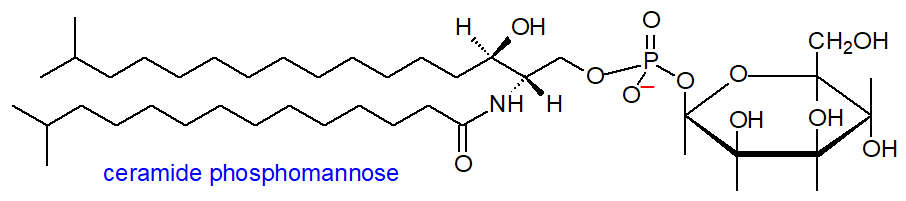 Structural formula of ceramide phosphomannose