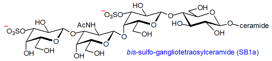 Formula of bis-sulfo-gangliotetraosylceramide (SB1a)