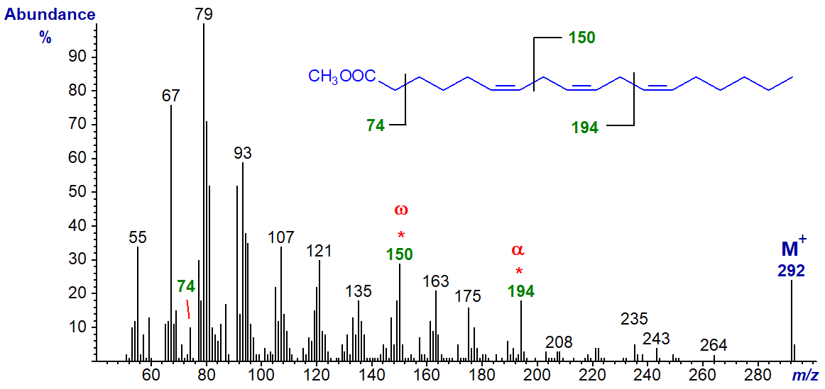 Mass spectrum of methyl gamma-linolenate
