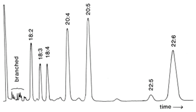 GC trace of non-adducted fraction from a fish oil