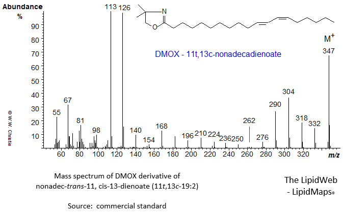 Mass spectrum of of DMOX of 11,13-nonadecadienoate (11,13-19:2)