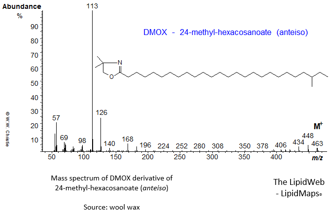 mass spectrum