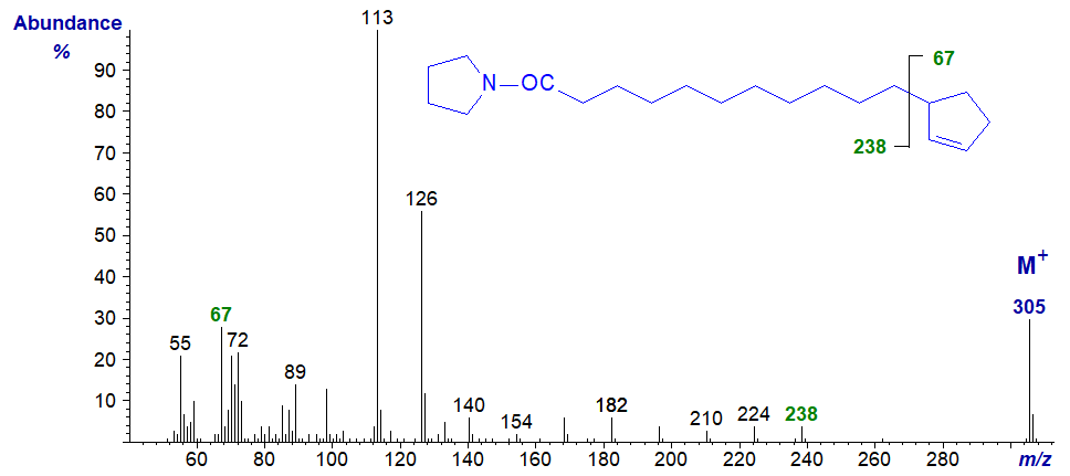 Mass spectrum of the pyrrolidide derivative of hydnocarpic acid
