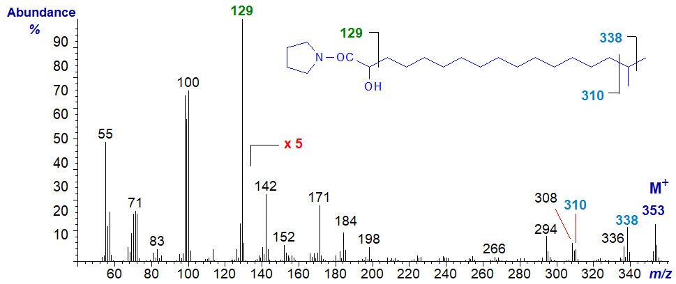 The mass spectrum of the pyrrolidide of 16-methyl-2-hydroxy-heptadecanoate