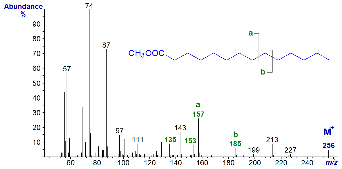 Mass spectrum of methyl 9-methyl-tetradecanoate