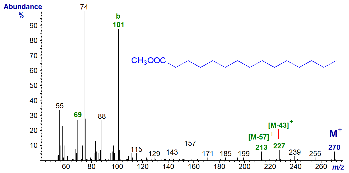 Mass spectrum of methyl 3-methylpentadecanoate