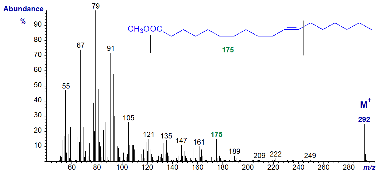 mass spectrum of methyl 6-cis,9-cis,11-trans-octadecatrienoate