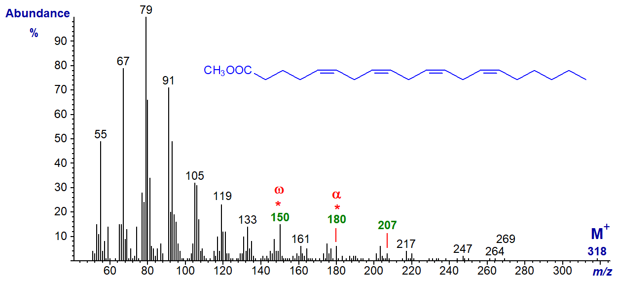 Mass spectrum of methyl arachidonate
