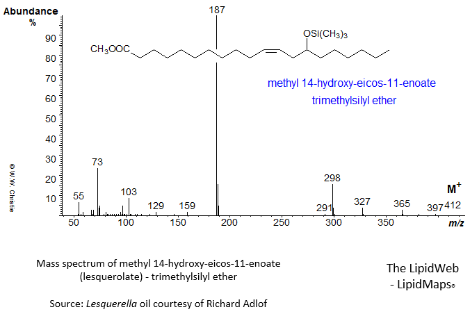 Mass spectrum of methyl 14-hydroxy-eicos-11-enoate - TMS (lesquerolic)